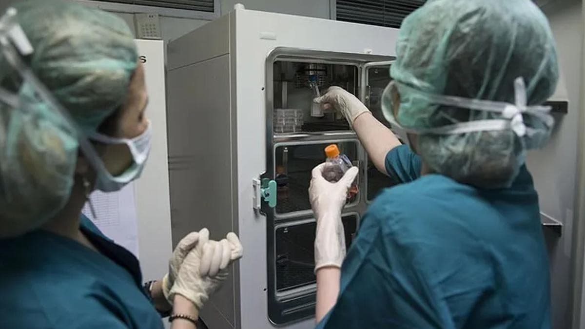 13 Yaşına Giren Çocuğun Peş Peşe Ortaya Çıkan Skandalı: Aile Sırları Yıllar Sonra Gün Yüzüne Çıktı